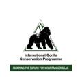 International Gorilla Conservation Programme