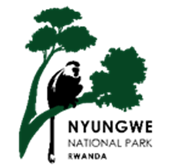 Nyungwe Management Company Ltd (NMC Ltd)