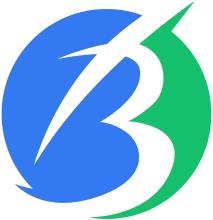 BRAINAE